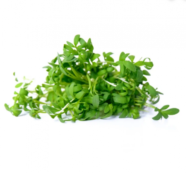 Süper Paket 1000 Adet Tohum İthal Nadir Crinkled Tere Tohumu - Resim 2