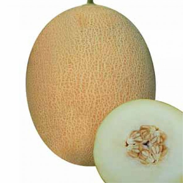 Süper Paket 500 Adet Tohum Mis Kokulu Bal Ananas Kavun Tohumu - 2