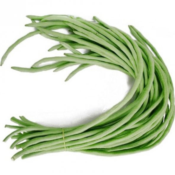 Süper Paket 40 Adet Tohum Nadir İthal Çin Fasulyesi Tohumu Fasülye Tohumu