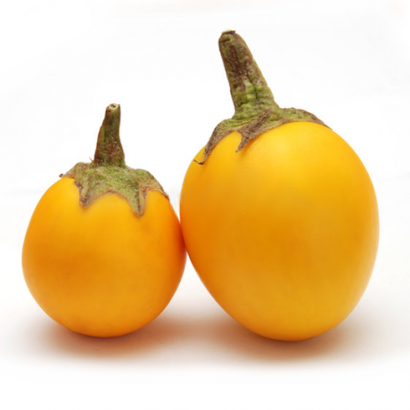 Süper Paket 150 Adet Tohum İthal Thailand Sarı Patlıcan Tohumu ürün görseli