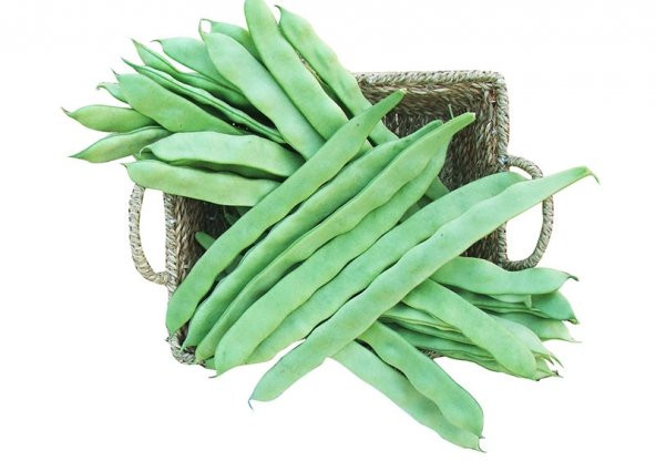 Süper Paket 600 Adet Tohum Kılçıksız Oturak Simbo Fasulye Tohumu - 2