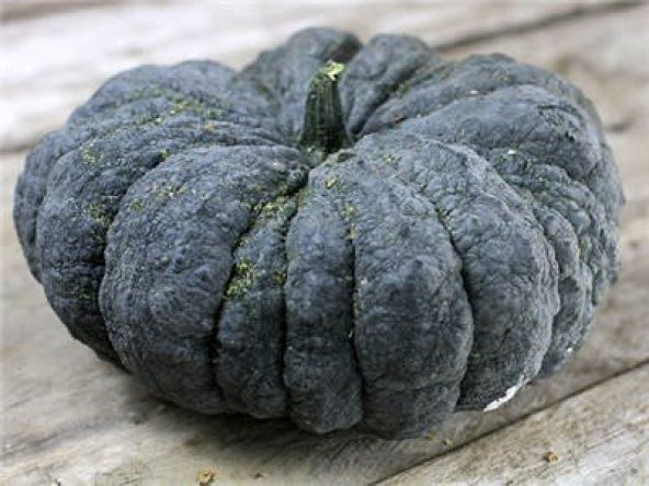 Süper Paket 100 Adet Tohum İthal Thailand Bal Kabağı Tohumu Kabak Tohumu - 3