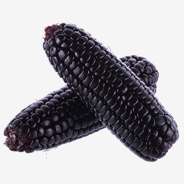 Süper Paket 100 Adet Tohum İthal Nadir Mor Bolivya Mısır Tohumu