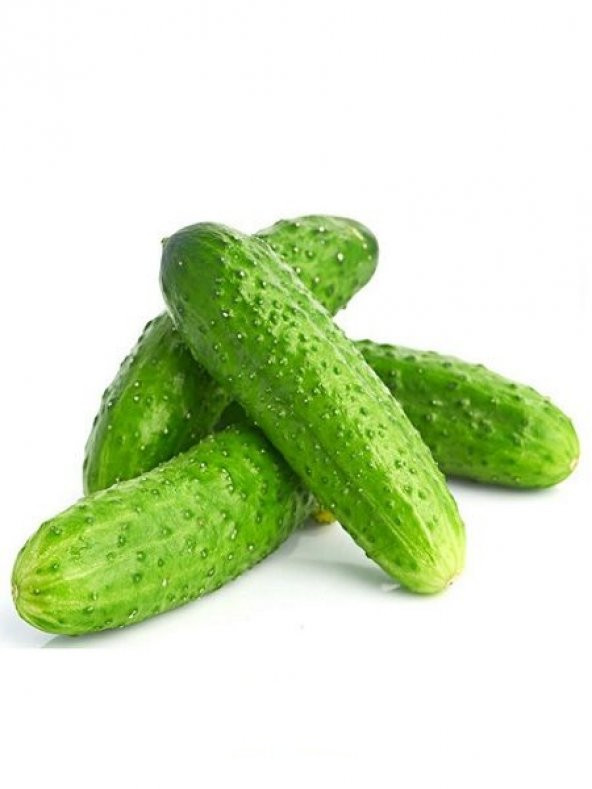 Süper Paket 250 Adet Tohum İthal Nadir Kıtır Kornişon Salatalık Tohumu - 3