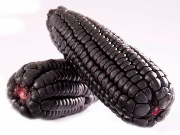 Süper Paket 100 Adet Tohum İthal Nadir Mor Bolivya Mısır Tohumu - 2