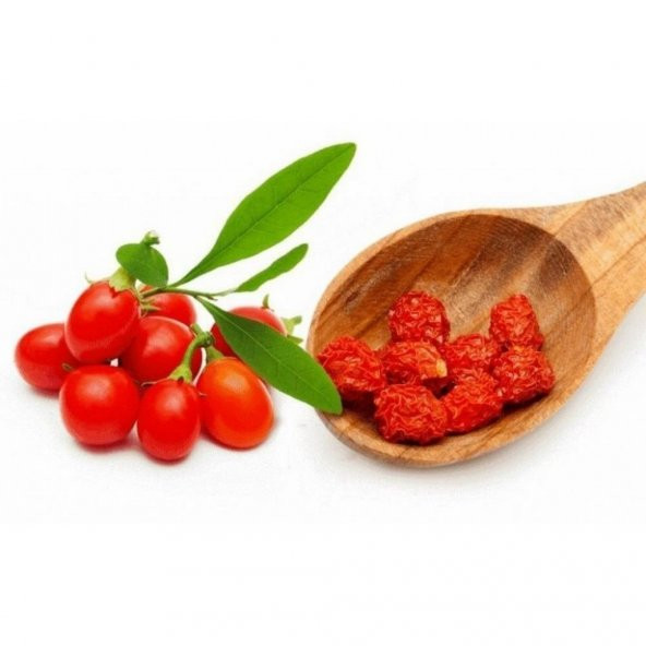 Süper Paket 250 Adet Tohum İthal Goji Berry Tohumu Gojiberry Goji