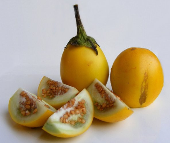 Süper Paket 150 Adet Tohum İthal Thailand Sarı Patlıcan Tohumu - Resim 3