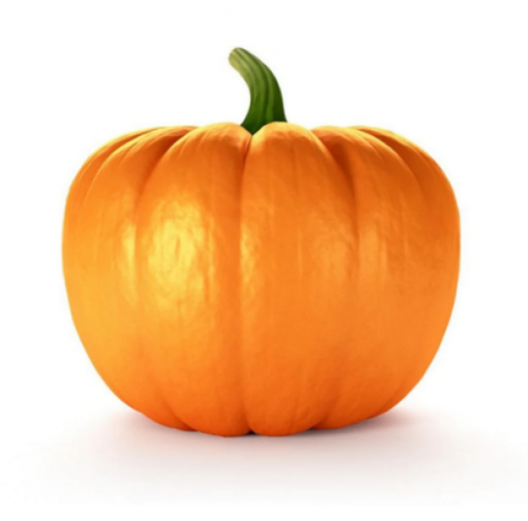 Süper Paket 250 Adet Tohum İri Bal Kabağı Tohumu Kabak Tohumu - 2