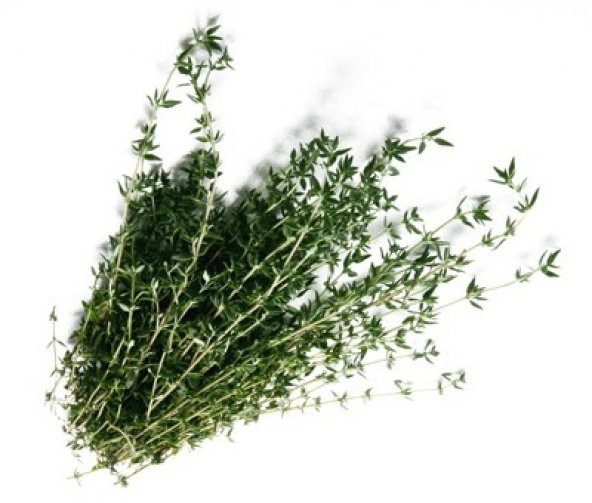 Süper Paket 750 Adet Tohum Aromatik Doğal Dağ Kekiği Tohumu Kekik - 2