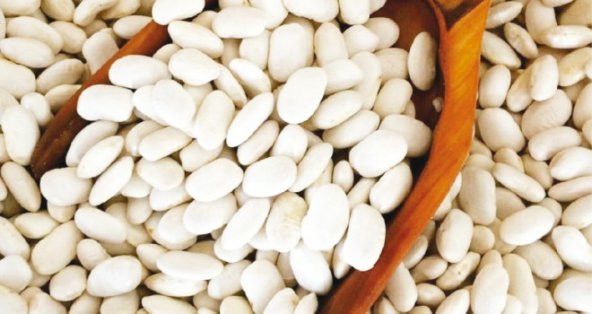 Eko Paket 300 Adet Tohum Beyaz Fasulye Tohumu Kuru Fasülye Tohumu - 2