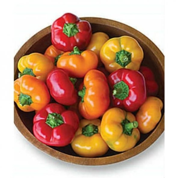 Eko Paket 75 Adet Tohum Nadir Acı Peynir Biberi Tohumu Biber Tohumu