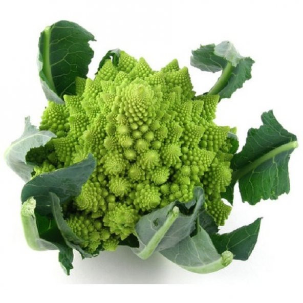 Eko Paket 25 Adet Tohum Nadir Piramit Brokoli Tohumu Pramit Brokoli - 3