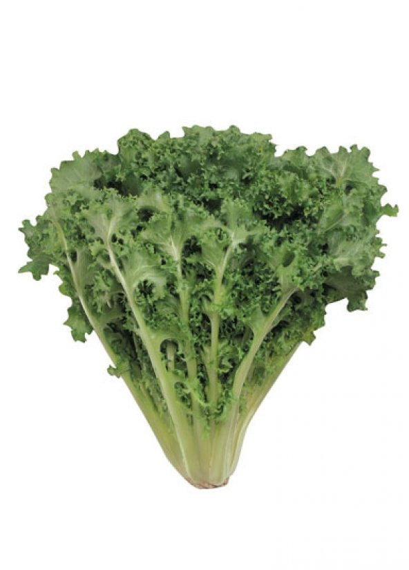 Eko Paket 400 Tohum İthal Crinkled Kıvırcık Tere Tohumu - 3