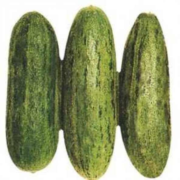 Eko Paket 100 Adet Tohum İthal Badem Yeşil Çin Acur Tohumu Çin Acuru ürün görseli