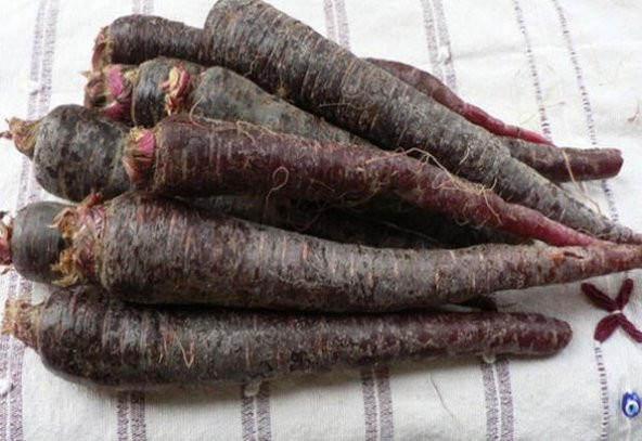 Eko Paket 1000 Adet Tohum Nadir Mor Havuç Tohumu Şalgam Havucu Tohumu - Resim 2