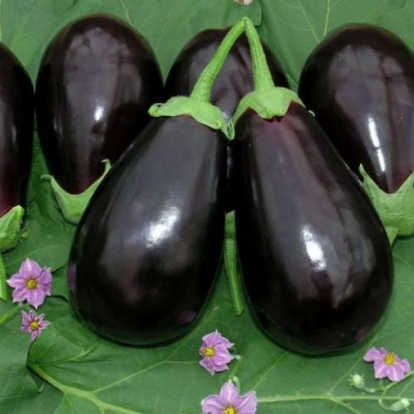 Eko Paket 150 Adet Tohum Nadir İthal Dev İri Patlıcan Tohumu - 3