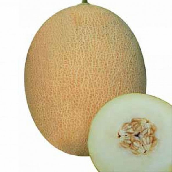 Eko Paket 200 Adet Tohum Ananas Kavun Tohumu Ananas Kavunu Tohumu