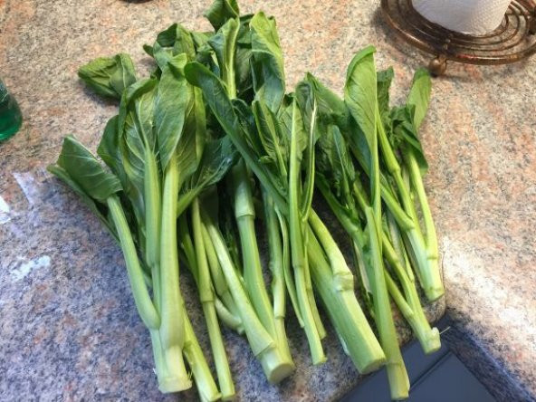 Nadir İthal Çin Yaprak Lahana Tohumu Choy Sum 25 Tohum Ekim Seti Saksı Toprak Kombin - Resim 4