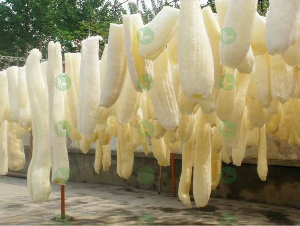 Eko Paket 20 Adet Tohum Nadir İthal Lif Kabağı Tohumu Kabak Tohumu - Resim 4