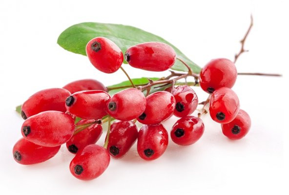 Eko Paket 100 Adet Tohum İthal Goji Gojiberry Tohumu Goji Berry Tohumu - 1