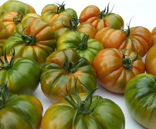 Eko Paket 200 Adet Tohum Mis Kokulu Yayla Domatesi Tohumu Domates Tohumu