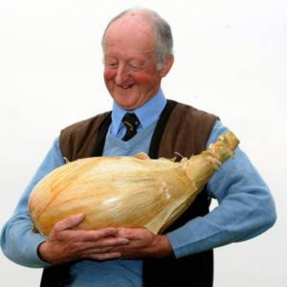 Nadir İthal Dev İngiltere Soğan Tohumu 25 Adet Tohum - 2