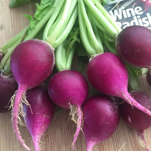 Nadir İthal Mor Turp Tohumu 25 Adet Tohum Romanya Turpu - 3