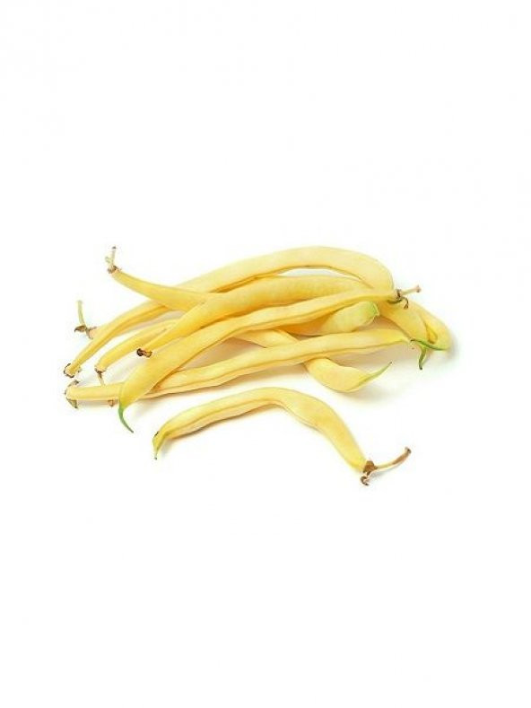 Nadir İthal Thailand Sarı Fasülye Tohumu 5 Adet Tohum Fasulye Tohumu ürün görseli