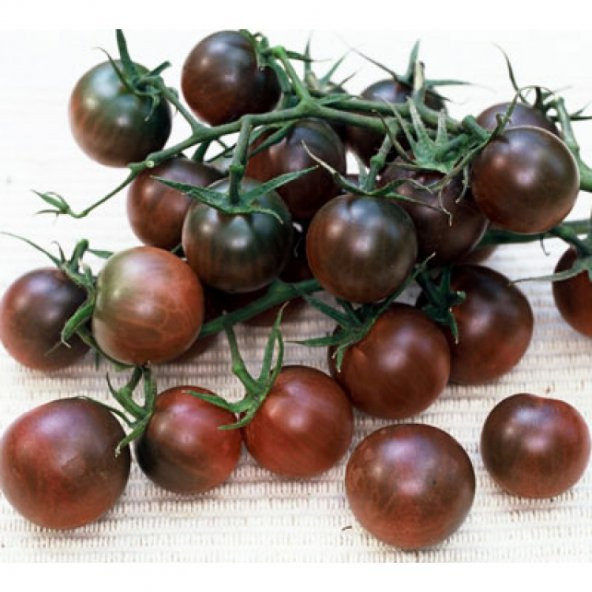 Çikolata Domates Tohumu 5 Adet Tohum Chocolate Tomato - Resim 2