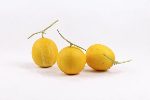 Mini Kore Kavunu Tohumu 5 Adet Tohum Kavun Tohumu - 2