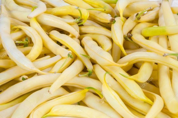 Nadir İthal Thailand Sarı Fasülye Tohumu 5 Adet Tohum Fasulye Tohumu - Resim 3