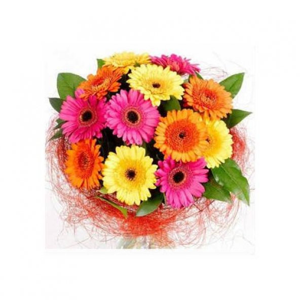 Gerbera Çiçeği Tohumu 5 Adet Tohum Jerbera Çiçek Tohumu - 3