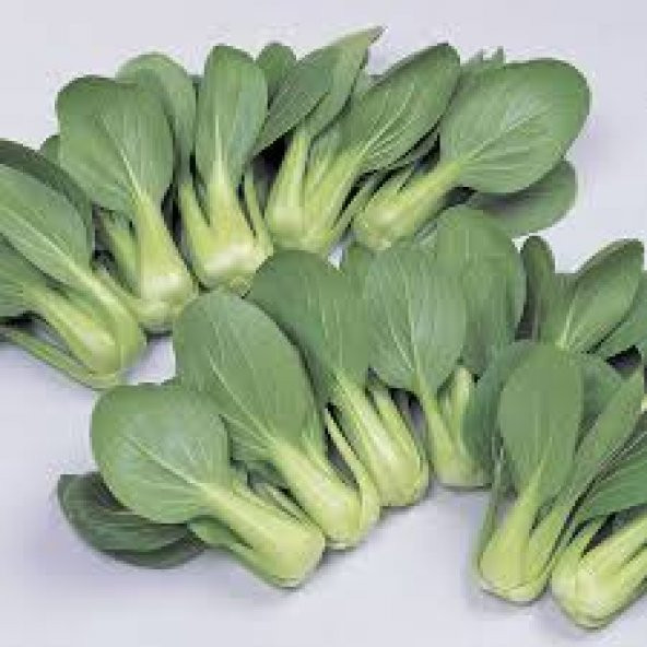 Nadir İthal Çin Lahanası Tohumu 20 Adet Tohum Baby Pak Choi - 2