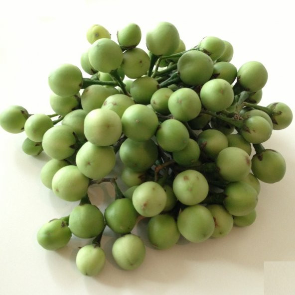 İthal Nadir Mini Üzüm Salkım Patlıcan Tohumu 5 Adet Tohum