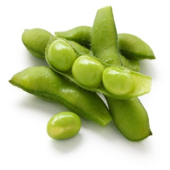 Nadir İthal Mungo Fasülye Tohumu 5 Adet Tohum Fasulye Mungo Beans - Resim 2