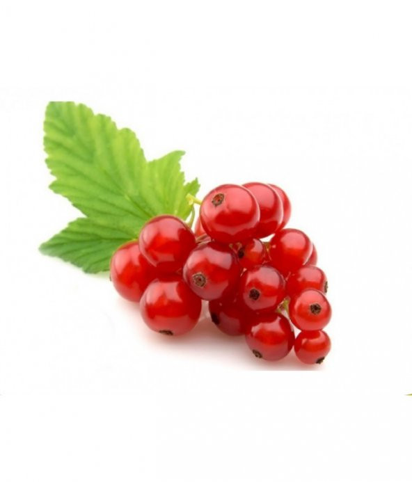 Tropikal Frenk Üzümü Tohumu 5 Adet Tohum Bektaş Üzümü