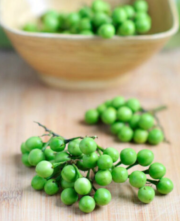 İthal Nadir Mini Üzüm Salkım Patlıcan Tohumu 5 Adet Tohum - 4