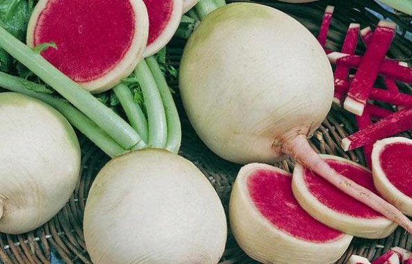 İthal Nadir İçi Kırmızı Çin Turpu Tohumu 50 Adet Tohum Kırmızı Turp - 3