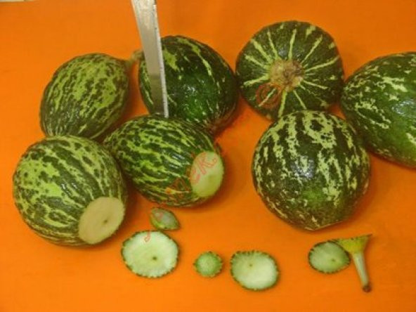 Nadir Mis Kokulu Turşluk Kelek Tohumu 10 Adet Tohum - 3