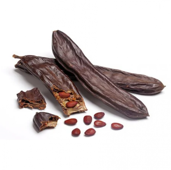 Bodur Keçi Boynuzu Bonzai Ağacı Ekim Seti 5 Adet Tohum Saksı Toprak Kombin - 3