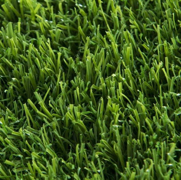 İthal 3lü Karışım Çim Tohumu 250 Gram Tohum - 3
