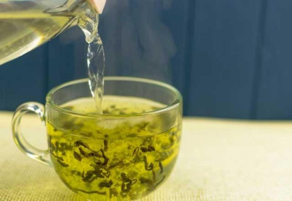 İthal Japon Yeşil Çay Ekim Seti 3 Adet Tohum Çay Tohumu - 2