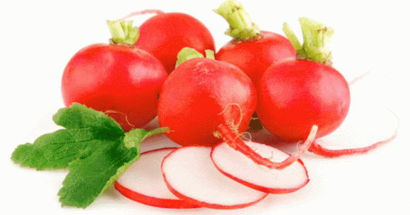 İri Kırmızı Turp Tohumu 50 Adet Tohum - 3