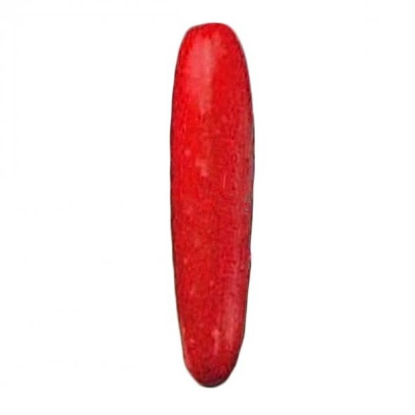 Nadir İthal Kırmızı Salatalık Tohumu 5 Adet Tohum Red Cucumber