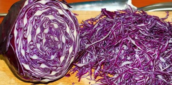 Kırmızı Lahana Tohumu 50 Adet Mor Lahana Tohumu - 2