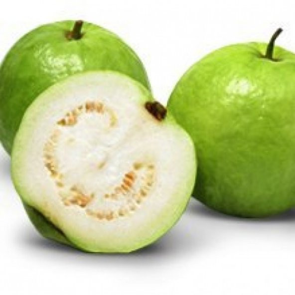 Psidium Guava Meyvesi Tohumu 3 Adet Tohum