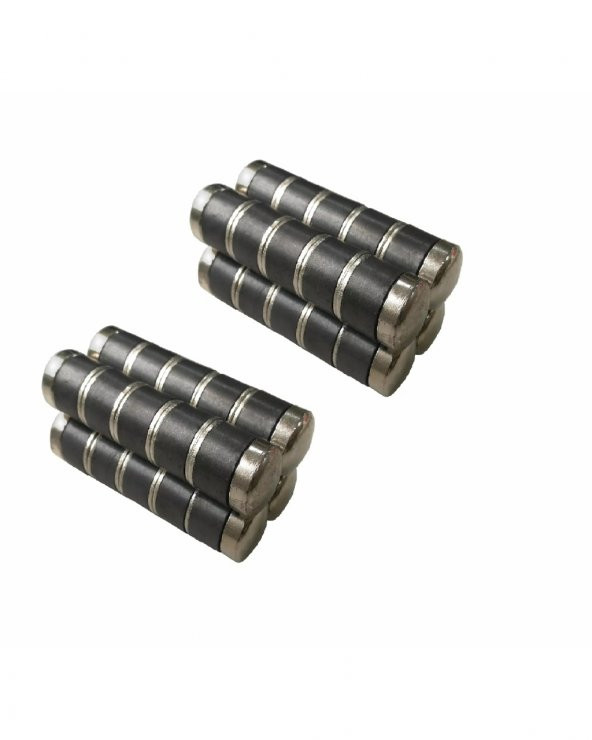 Japon Mıknatısı 25 Adet - 4