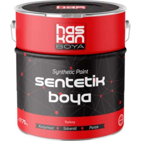 HASKAN SENTETİK YAĞLI BOYA 3 Kg. - 1