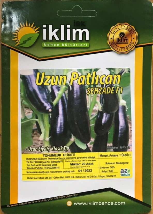Patlıcan Tohumu Hibrit A-Z-61 ŞEHZADE F1 KLASİK PATLICAN - 20 Adet Tohumluk ürün görseli 1