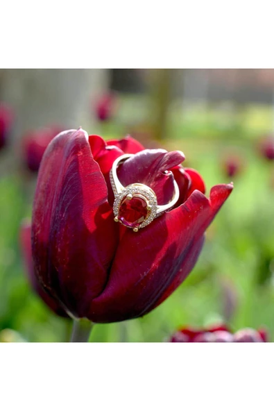 Oval Kırmızı Taşlı Altın Yüzük - Resim 4